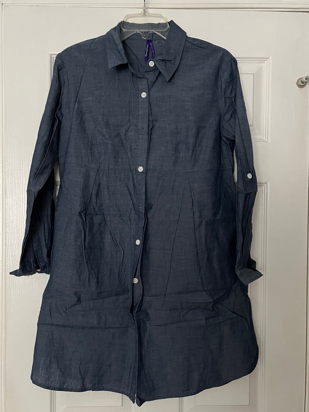 Seraphine Maternity Chambray Dress